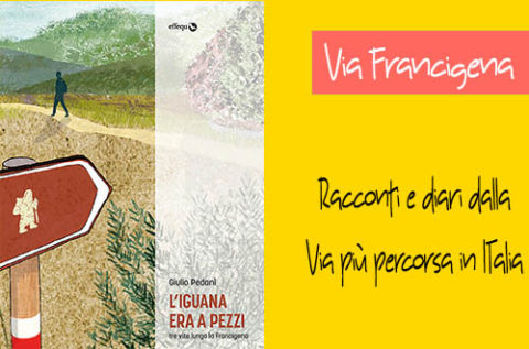 L’iguana era a pezzi