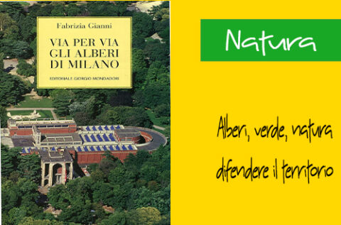 Via per via gli alberi di Milano <i class=